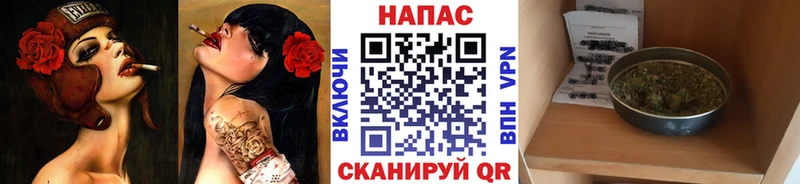 Марихуана конопля Обоянь